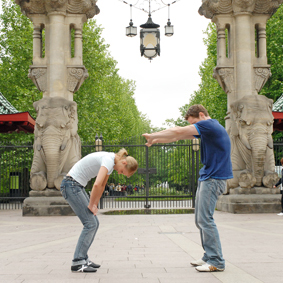 Zoo Fit durch Berlin